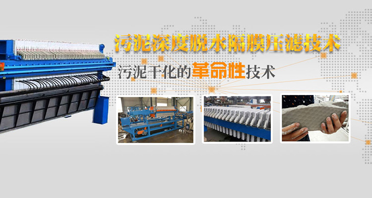 草莓视频APP入口技术-污泥深度脱水